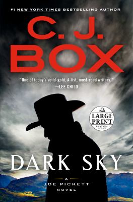 Dark sky Book cover
