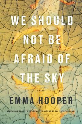 We should not be afraid of the sky : a novel Book cover