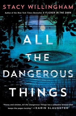 All the dangerous things : a novel Book cover